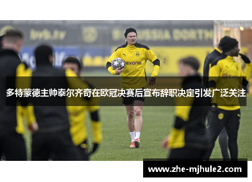 多特蒙德主帅泰尔齐奇在欧冠决赛后宣布辞职决定引发广泛关注
