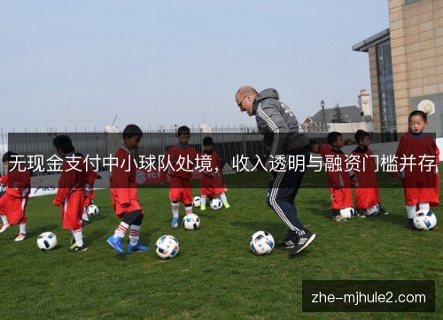 无现金支付中小球队处境，收入透明与融资门槛并存